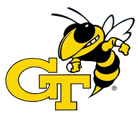 The Visual Evolution: The Georgia Tech Yellow Jackets Mascot Through the Years